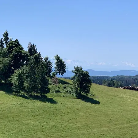 Appartement Blackforest Herrischried