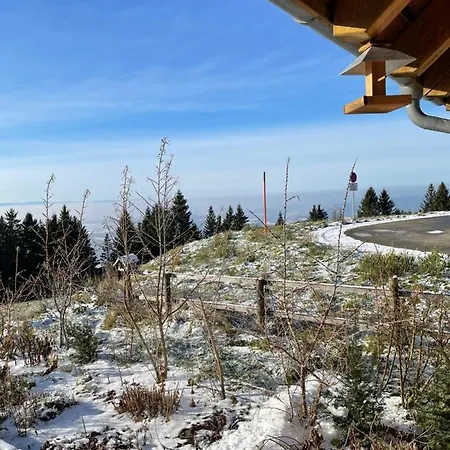 Blackforest & Apartment Herrischried