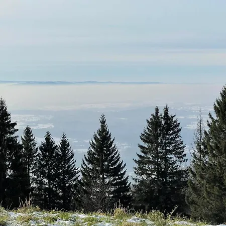 Blackforest * Herrischried