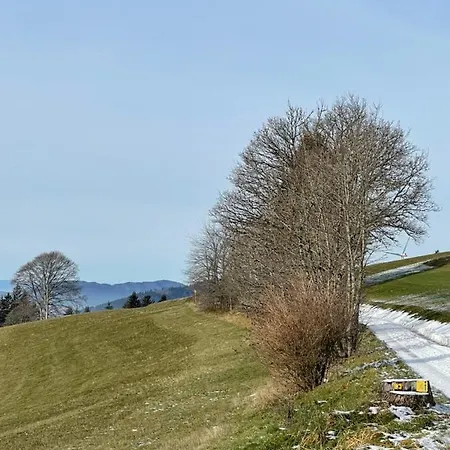 Apartamento Blackforest *