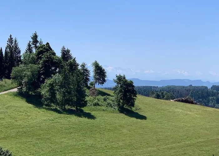 公寓 Blackforest Herrischried