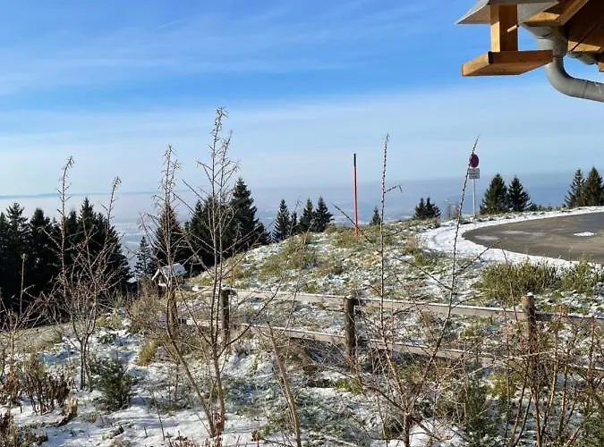 Blackforest 公寓 Herrischried