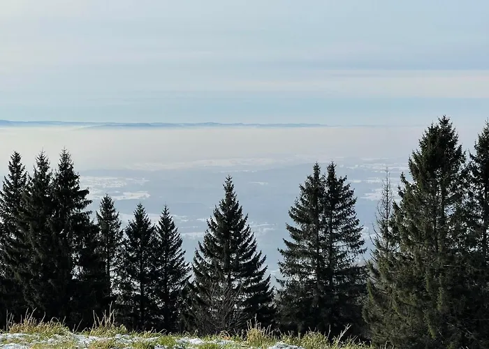 Blackforest * Herrischried