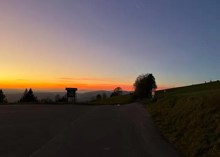 Blackforest 公寓 *